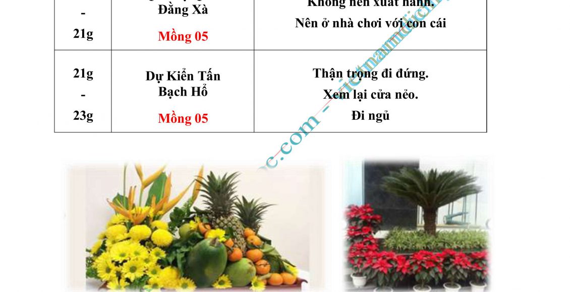 03- XUAT HANH 2025_P01_DayDu.PDF-hình ảnh-50