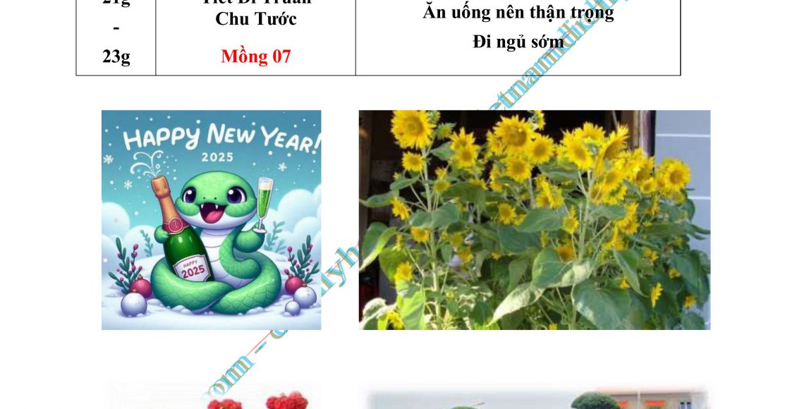 03- XUAT HANH 2025_P01_DayDu.PDF-hình ảnh-58